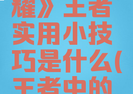 《王者荣耀》王者实用小技巧是什么(王者中的小技巧)