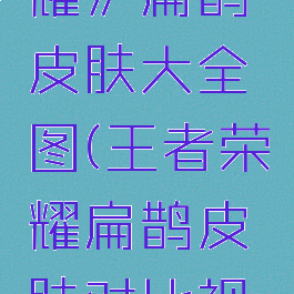 《王者荣耀》扁鹊皮肤大全图(王者荣耀扁鹊皮肤对比视频)