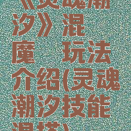 《灵魂潮汐》混沌魔铠玩法介绍(灵魂潮汐技能混搭)