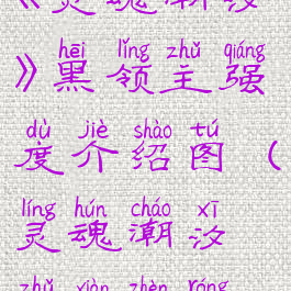 《灵魂潮汐》黑领主强度介绍图(灵魂潮汐主线阵容)