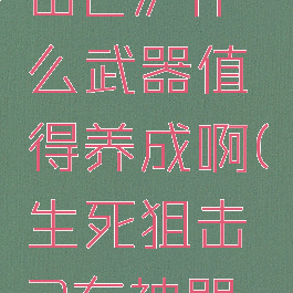 《生死狙击2》什么武器值得养成啊(生死狙击2有神器吗)