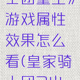 《皇家骑士团重生》游戏属性效果怎么看(皇家骑士团2出生选择)