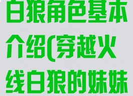 《穿越火线》白狼角色基本介绍(穿越火线白狼的妹妹是谁)