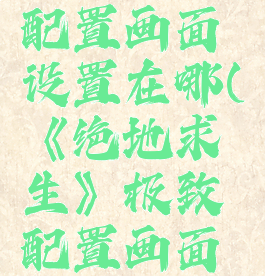 《绝地求生》极致配置画面设置在哪(《绝地求生》极致配置画面设置在哪找)