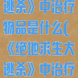 《绝地求生大逃杀》中治疗物品是什么(《绝地求生大逃杀》中治疗物品是什么)
