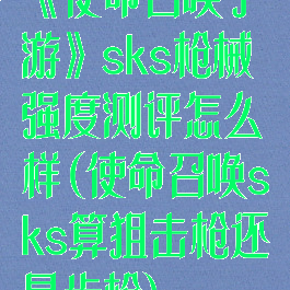 《使命召唤手游》sks枪械强度测评怎么样(使命召唤sks算狙击枪还是步枪)
