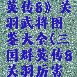 《三国群英传8》关羽武将图鉴大全(三国群英传8关羽厉害吗)