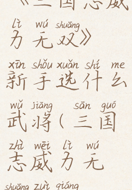 《三国志威力无双》新手选什么武将(三国志威力无双最强)