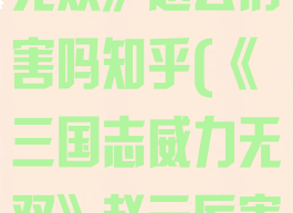 《三国志威力无双》赵云厉害吗知乎(《三国志威力无双》赵云厉害吗知乎)