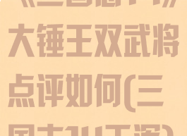 《三国志14》大锤王双武将点评如何(三国志14王浑)