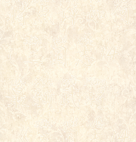 《三国志14》羊祜武将点评如何(三国志14最新武将:《三国志14》新武将羊徽瑜介绍)