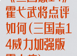 《三国志14》霍弋武将点评如何(三国志14威力加强版霍去病)
