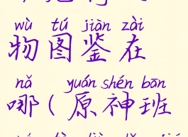 《原神》班尼特人物图鉴在哪(原神班尼特六种结局)