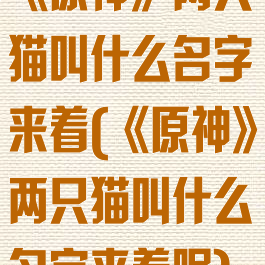 《原神》两只猫叫什么名字来着(《原神》两只猫叫什么名字来着呢)