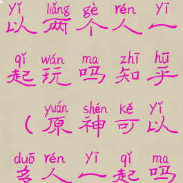 《原神》可以两个人一起玩吗知乎(原神可以多人一起吗)