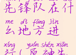 《原神》先锋队在什么地方进行(原神先锋队位置)