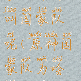 《原神》国家队为什么叫国家队呢(原神国家队为啥被称为国家队)