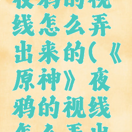《原神》夜鸦的视线怎么弄出来的(《原神》夜鸦的视线怎么弄出来的啊)