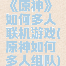 《原神》如何多人联机游戏(原神如何多人组队)