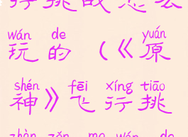 《原神》飞行挑战怎么玩的(《原神》飞行挑战怎么玩的啊)