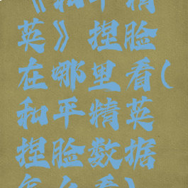 《和平精英》捏脸在哪里看(和平精英捏脸数据怎么看)