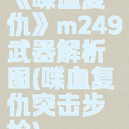 《喋血复仇》m249武器解析图(喋血复仇突击步枪)