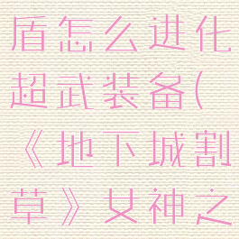 《地下城割草》女神之盾怎么进化超武装备(《地下城割草》女神之盾怎么进化超武装备)