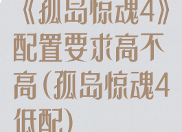 《孤岛惊魂4》配置要求高不高(孤岛惊魂4低配)