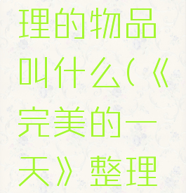 《完美的一天》整理的物品叫什么(《完美的一天》整理的物品叫什么名字)