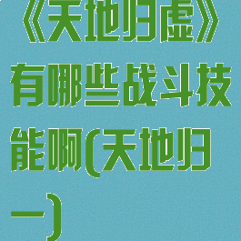 《天地归虚》有哪些战斗技能啊(天地归一)