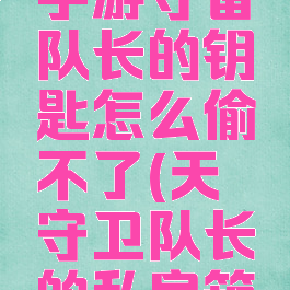 《天谕》手游守备队长的钥匙怎么偷不了(天谕守卫队长的私房箱子)