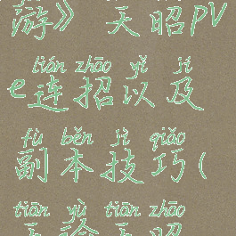 《天谕手游》天昭pve连招以及副本技巧(天谕天昭玩法)