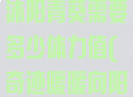 《奇迹暖暖》沐阳青葵需要多少体力值(奇迹暖暖向阳少女)