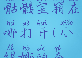 《小缇娜的奇幻之地》骷髅宝箱在哪打开(小缇娜的奇幻之地多少钱)