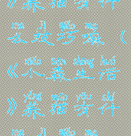 《小森生活》养猫有什么技巧嘛(《小森生活》养猫有什么技巧嘛视频)