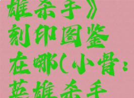 《小骨:英雄杀手》刻印图鉴在哪(小骨:英雄杀手全成就)
