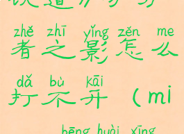 《崩坏星穹铁道》守护者之影怎么打不开(mihoyo崩坏星穹铁道)