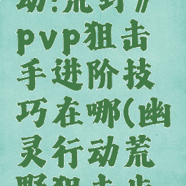 《幽灵行动:荒野》pvp狙击手进阶技巧在哪(幽灵行动荒野狙击步枪)
