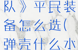 《弹壳特攻队》平民装备怎么选(弹壳什么水平)