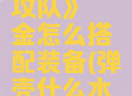 《弹壳特攻队》氪金怎么搭配装备(弹壳什么水平)