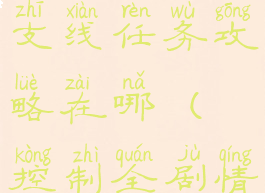 《控制》全支线任务攻略在哪(控制全剧情攻略)