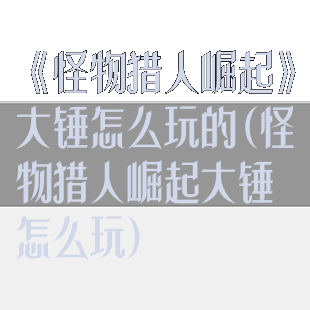 《怪物猎人崛起》大锤怎么玩的(怪物猎人崛起大锤怎么玩)