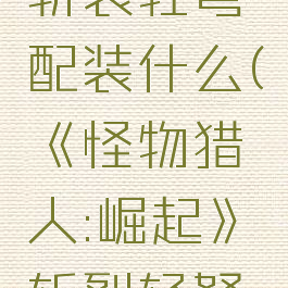 《怪物猎人:崛起》斩裂轻弩配装什么(《怪物猎人:崛起》斩裂轻弩配装什么武器)