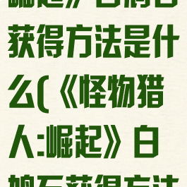 《怪物猎人:崛起》白鸠石获得方法是什么(《怪物猎人:崛起》白鸠石获得方法是什么)