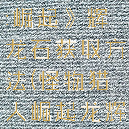 《怪物猎人:崛起》辉龙石获取方法(怪物猎人崛起龙辉石)