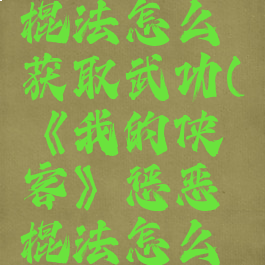 《我的侠客》惩恶棍法怎么获取武功(《我的侠客》惩恶棍法怎么获取武功等级)