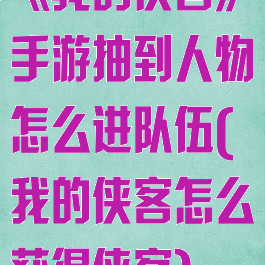 《我的侠客》手游抽到人物怎么进队伍(我的侠客怎么获得侠客)