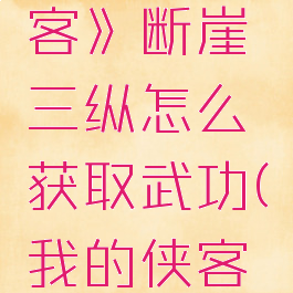 《我的侠客》断崖三纵怎么获取武功(我的侠客跳崖成就)