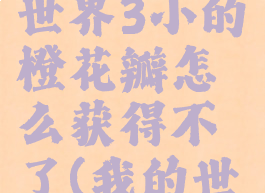 《我的世界》虚无世界3小的橙花瓣怎么获得不了(我的世界虚无3冬青花瓣)
