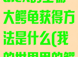 《我的世界》alex的生物大鳄龟获得方法是什么(我的世界里的鳄鱼)